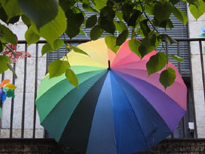 Temps de Flors 2024. Espais diversos