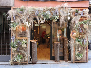 Temps de Flors 2024. Espais diversos