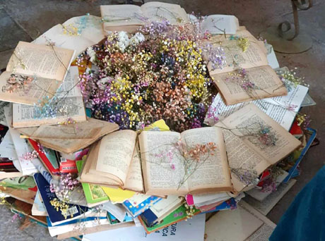 Temps de Flors 2024. Pla&ccedil;a Jacint Verdaguer