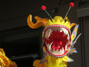 Celebraci&oacute; de l'any nou xin&egrave;s, el 4723, any de la Serp, a Girona