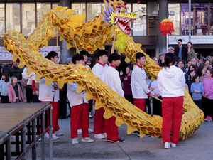 Celebraci&oacute; de l'any nou xin&egrave;s, el 4723, any de la Serp, a Girona