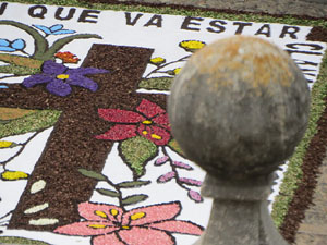 La Diada de Corpus 2025. Les catifes