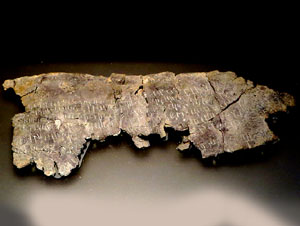 Exposició El Temps de la Memòria al MAC - Girona