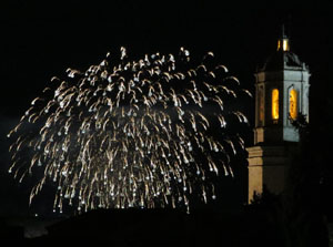 Fires de Sant Narc&iacute;s 2025. Els focs