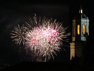 Fires de Sant Narc&iacute;s 2025. Els focs