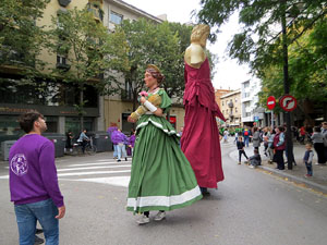 Fires de Sant Narc&iacute;s 2025. XLIV Trobada de Gegants i Bestiari