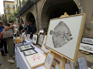 Fires de Sant Narc&iacute;s 2025. Fira-mercat d'alimentaci&oacute;, artesania, dibuix i pintura