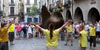 Encesa de focs i ball a la plaça del Vi