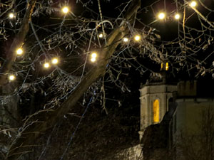 Nadal 2025. Els llums de Nadal