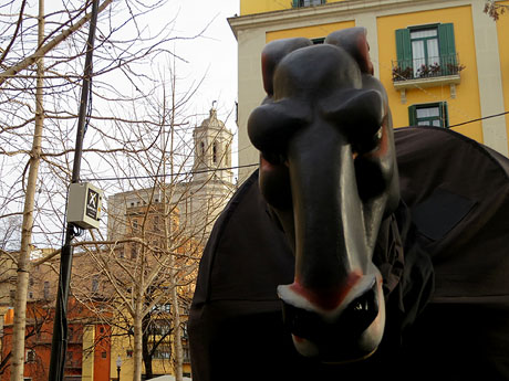 Nadal 2025 a Girona. Pastorets de la Mula Baba