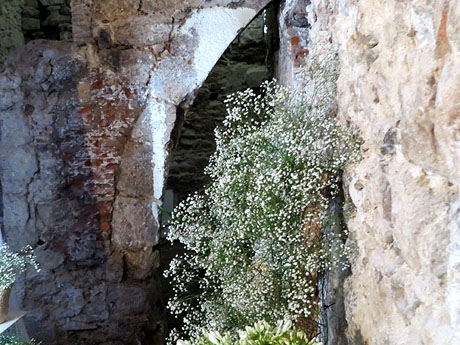 Temps de Flors 2025. Carrer Albereda