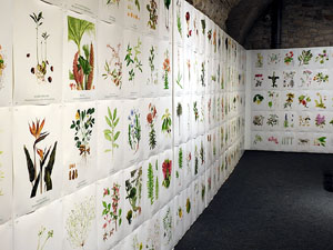 Temps de Flors 2025. Pia Almoina - Col&middot;legi d'Arquitectes de Catalunya