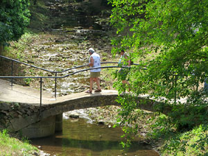 Temps de Flors 2025. Altres instal&middot;lacions