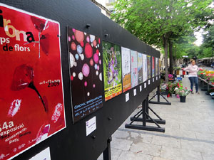 Temps de Flors 2025. Altres instal&middot;lacions