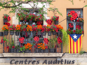 Temps de Flors 2025. Altres instal&middot;lacions