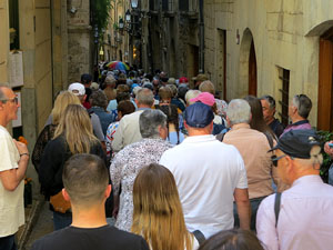 Temps de Flors 2025. Altres instal&middot;lacions