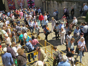 Temps de Flors 2025. Altres instal&middot;lacions