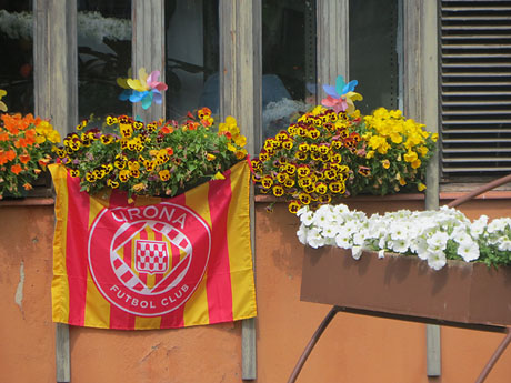 Temps de Flors 2025. Altres instal&middot;lacions