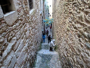 Temps de Flors 2025. Els Casa Lle&oacute; Avinay