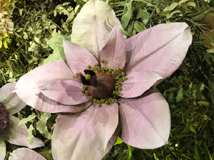 Temps de Flors 2025. Els Casa Lle&oacute; Avinay