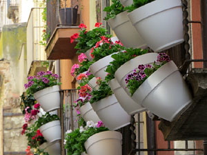Temps de Flors 2025. Carrer Ballesteries