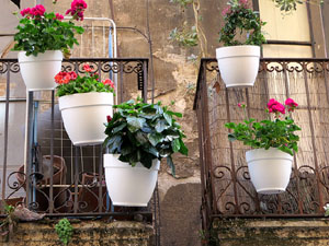 Temps de Flors 2025. Carrer Ballesteries