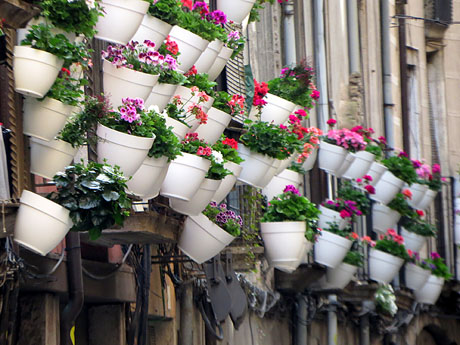 Temps de Flors 2025. Carrer Ballesteries