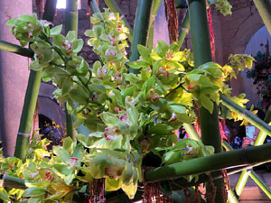 Temps de Flors 2025. Banys &Agrave;rabs