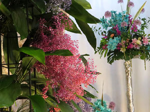 Temps de Flors 2025. Banys &Agrave;rabs