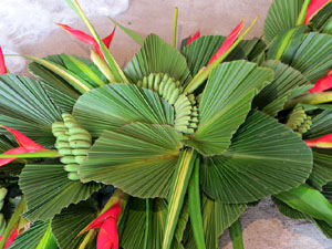 Temps de Flors 2025. Banys &Agrave;rabs