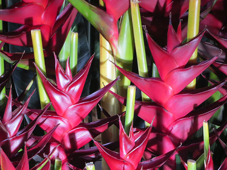 Temps de Flors 2025. Banys &Agrave;rabs