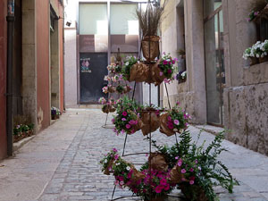 Temps de Flors 2025. Pla&ccedil;a Bell-lloc