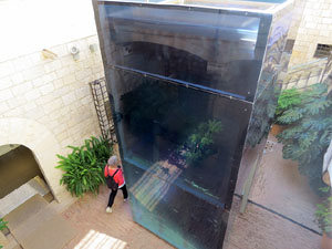 Temps de Flors 2025. Caixaf&ograve;rum - Fontana d'Or