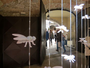 Temps de Flors 2025. Els Pati de Casa Carles