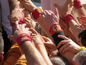 Temps de Flors 2025. Diada castellera