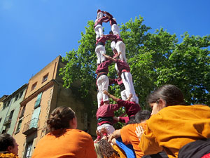 Temps de Flors 2025. Diada castellera