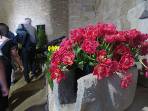 Temps de Flors 2025. Soterranis de la Catedral