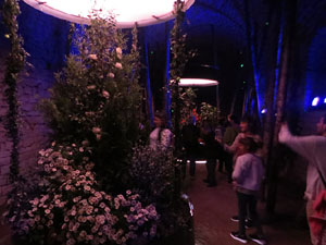 Temps de Flors 2025. Soterranis de la Catedral