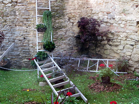 Temps de Flors 2025. Entrada al claustre de la Catedral