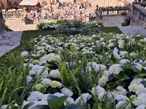 Temps de Flors 2025. Els Escales de la Catedral