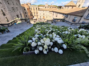 Temps de Flors 2025. Els Escales de la Catedral