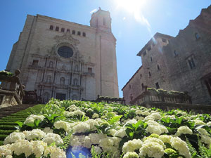 Temps de Flors 2025. Els Escales de la Catedral