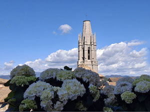 Temps de Flors 2025. Els Escales de la Catedral