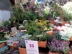 Temps de Flors 2025. Casa Forn - Diputaci&oacute; de Girona