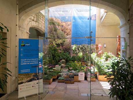 Temps de Flors 2025. Casa Forn - Diputaci&oacute; de Girona