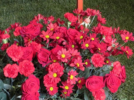 Temps de Flors 2025. Edifici F&ograve;rum