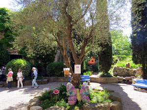Temps de Flors 2025. Jard&iacute; de la Torre Gironella
