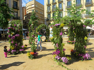 Temps de Flors 2025. Pla&ccedil;a de la Independ&egrave:ncia