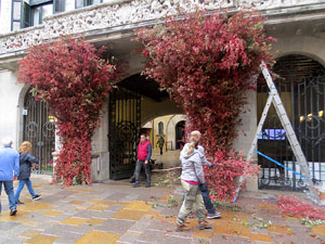 Temps de Flors 2025. Making of de l'esdeveniment