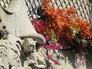 Temps de Flors 2025. Casa Norat